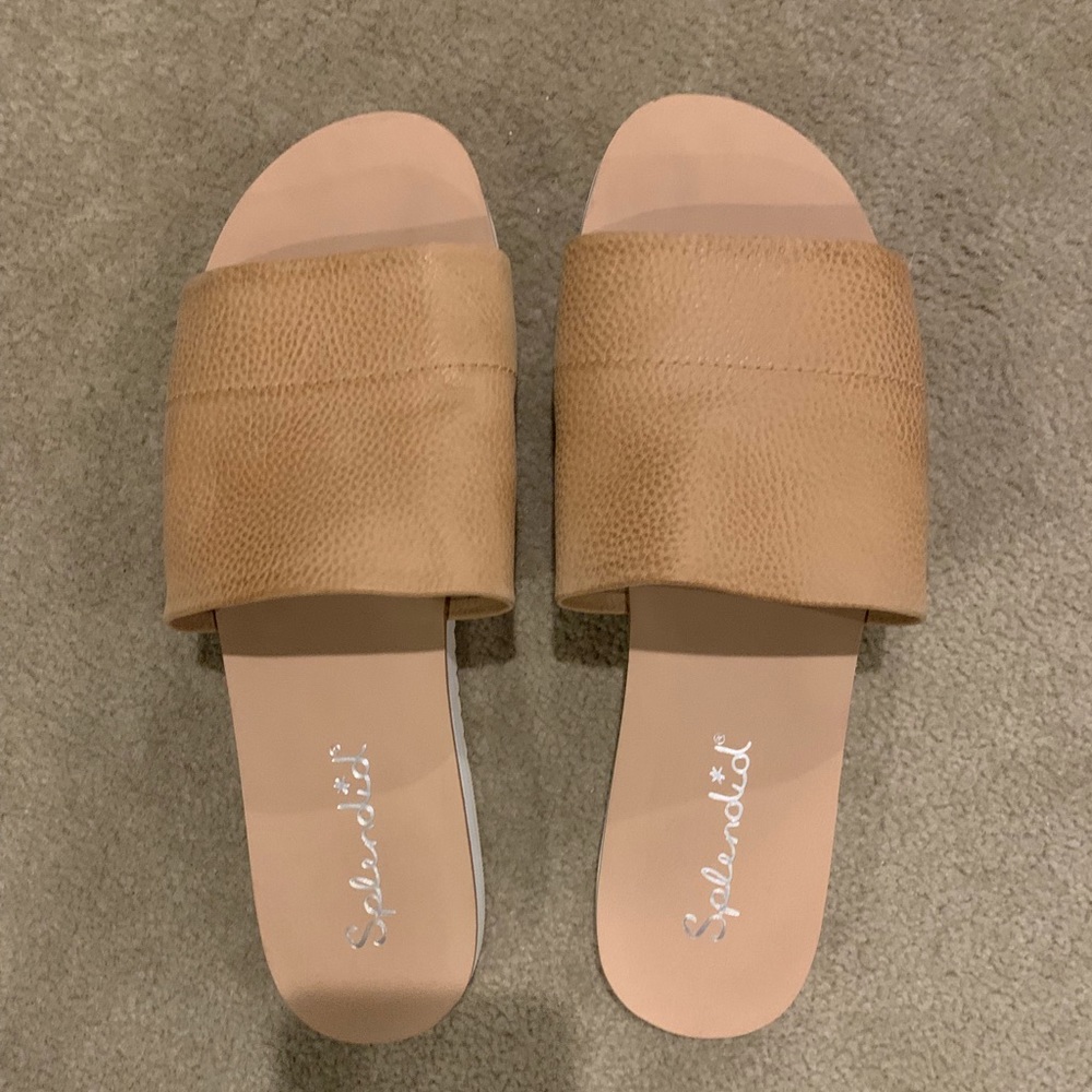 Splendid slides! NEW!